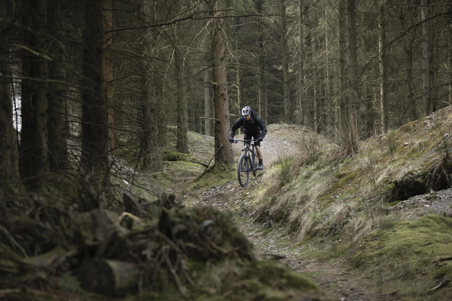 Voodoo Horde Mens Mountain Bike - S, M, L, XL Frames - Image 3